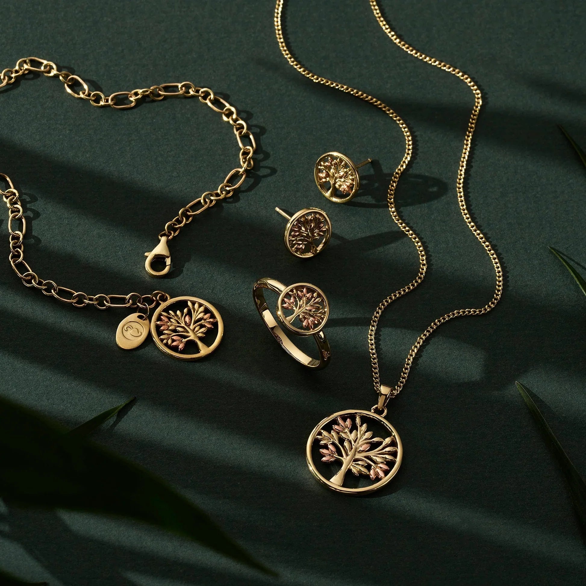 Meanings and Symbols